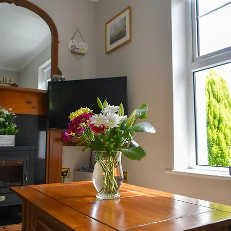 Simply Donegal Adrihidbeg * 邓格洛