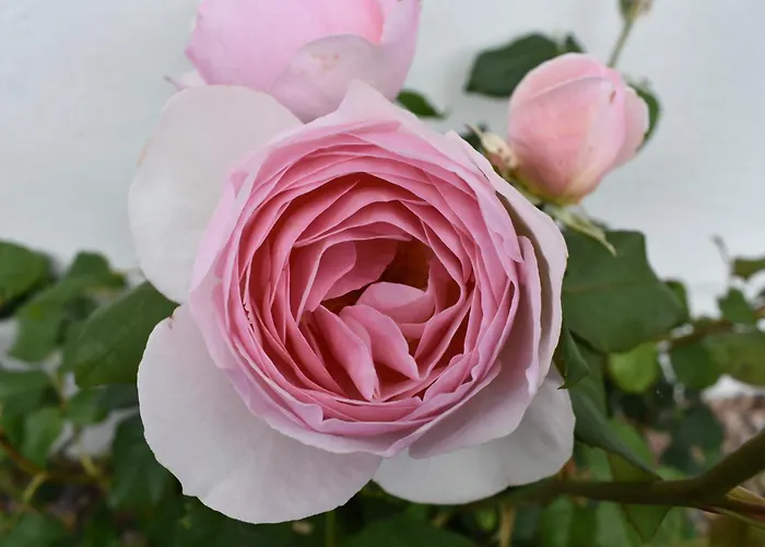 Holiday home Simply Donegal Adrihidbeg